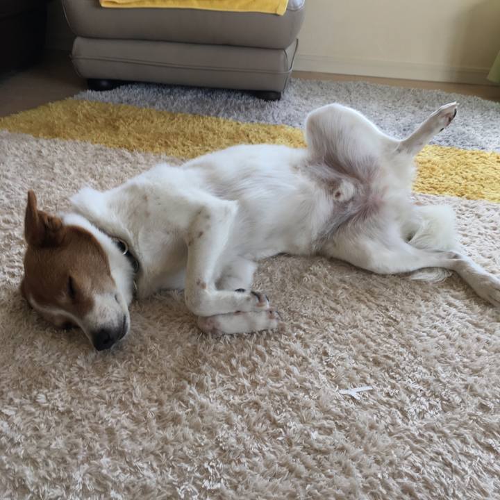 8148af60 3d09 4814 b205 1d855d79a69d