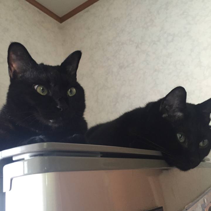 8148dbbd 38e8 4e6f 8956 201db0dc76fd