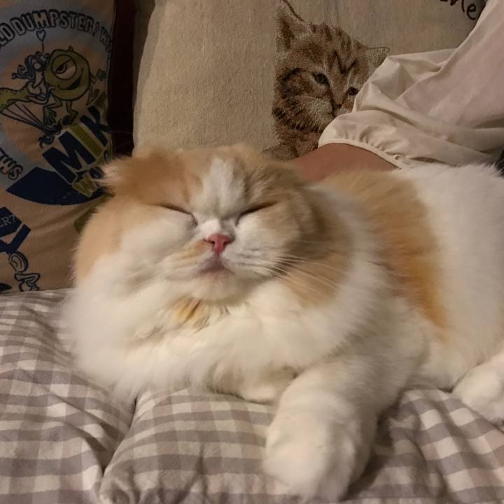 8149ac35 d8b4 4044 9ffe b290bd29706f