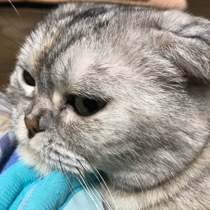 8149ae05 826e 449d b24f c71c550b6d7f