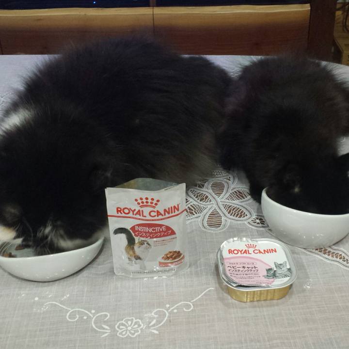 8149ccc5 00f1 4f06 aef1 b90e52980e4a