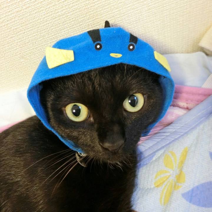 8149d314 4523 4cd8 8dc8 04c88d936494