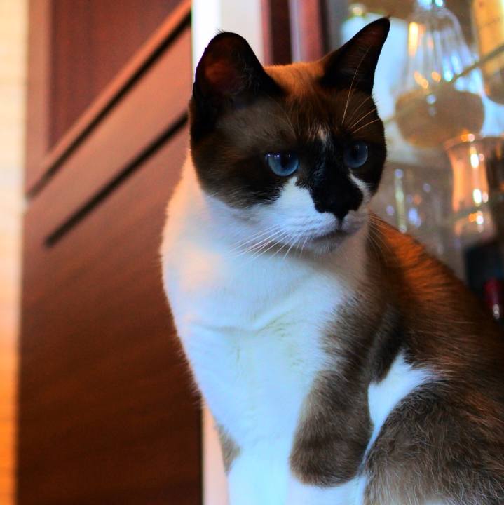 8149d6e9 ba8c 40c3 94d7 e98ab3fd6c0d