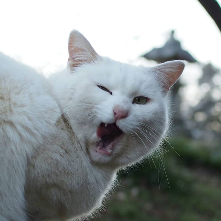 8149dcf1 2fc2 4fee b82b 057fc98e8e44