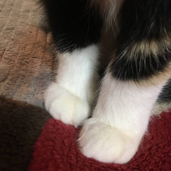 814ac6f8 6d5b 4dc3 be03 33b869eb212f