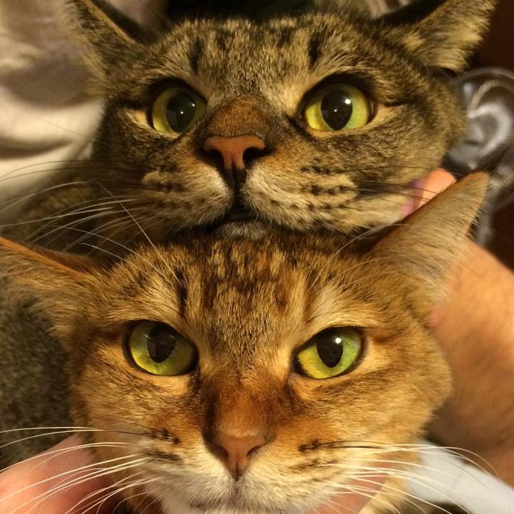 814ae685 bcd8 4308 b7cd 6458ccc06010