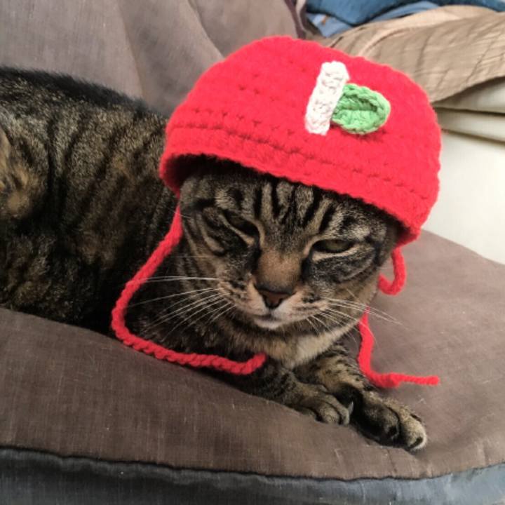 814beaa9 d2ea 4f8a 9f7b 5b56f55f7db9