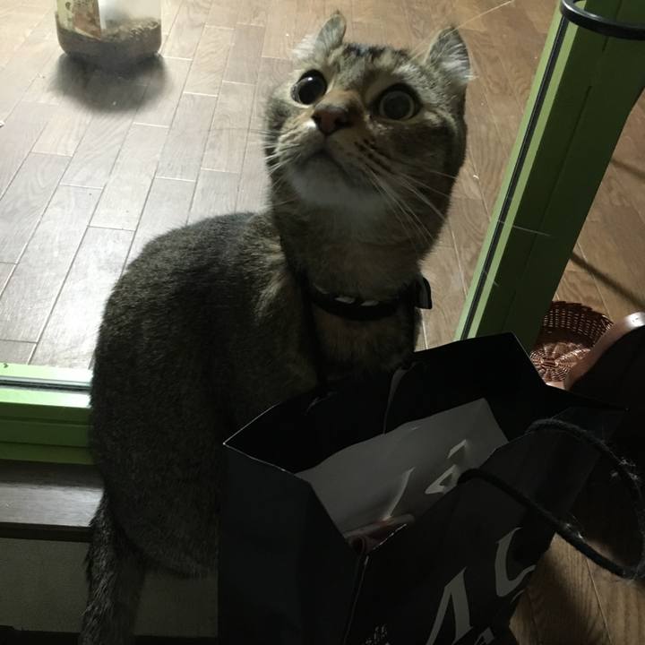 814bf2f5 7119 4e8c 8a06 f3b04b25d0c8