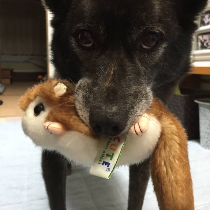 814de829 fdaa 4e5b 8f72 1f5a1358342d