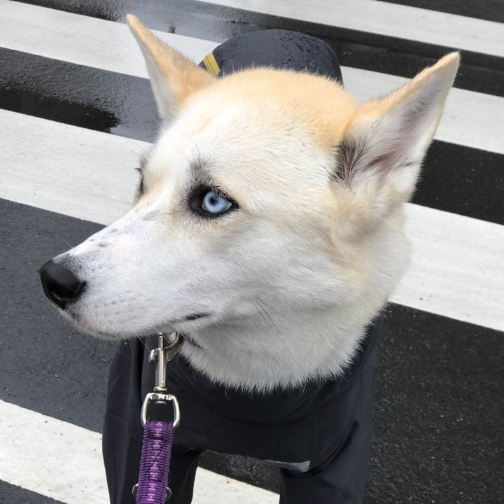 81501d10 3304 4b90 bfe2 bdd0d1d54f51