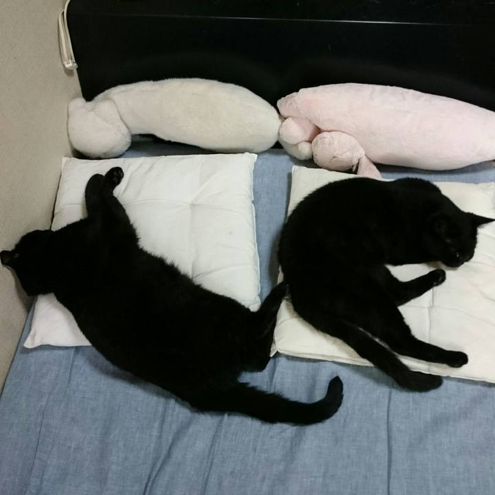 81502456 a592 4d19 bf02 b3f4e0ed0f06