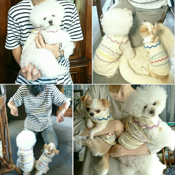 8150a179 c912 44f8 9dd0 8121a0f0f917