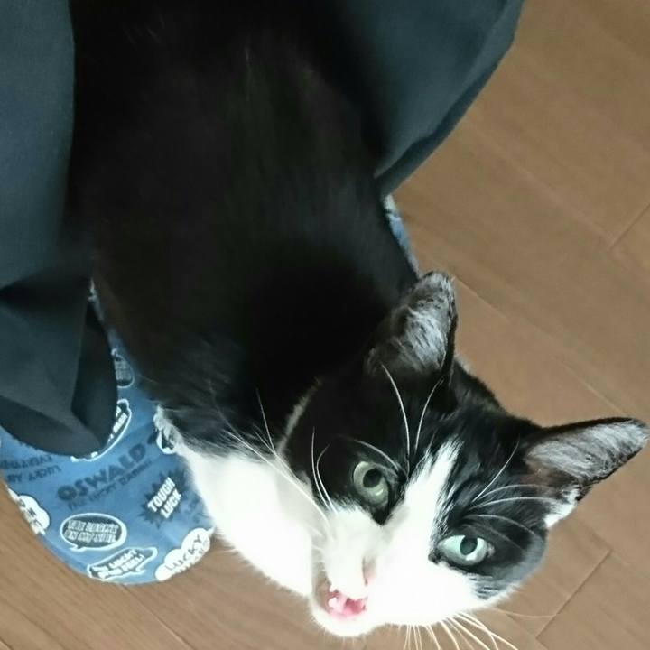 8150b330 07f7 4002 b1cf 5faf13517117