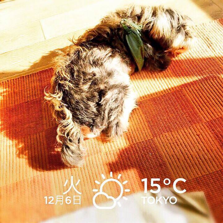 8150c4a7 54ab 41ec 97e9 265dfed2a9a7