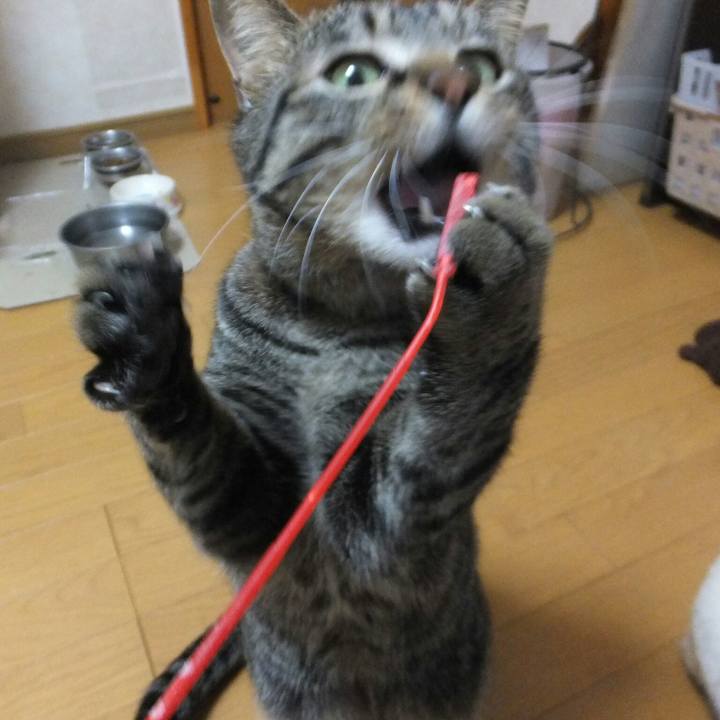 8150d5c5 19ba 417b b120 f0157aeb9f73