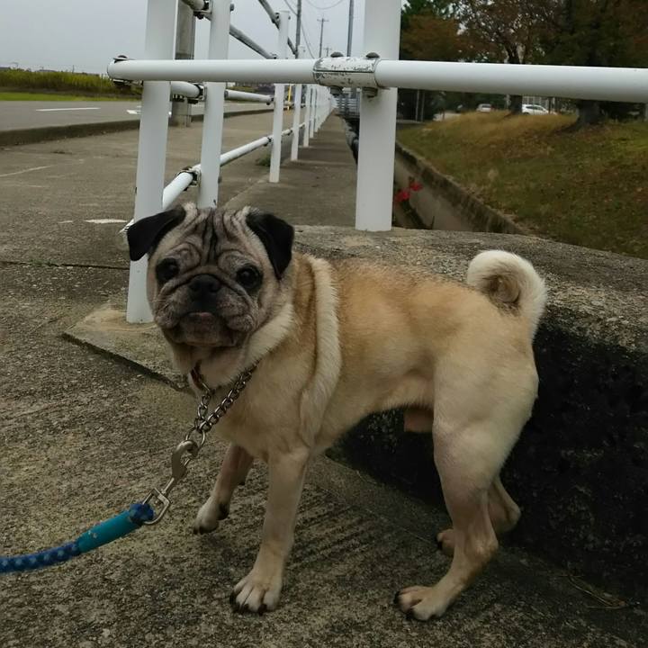 8151410d d01b 4792 9472 bd0b20325b89