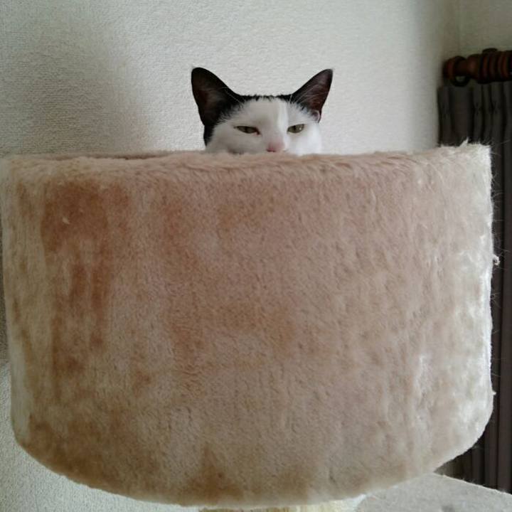 81514b5a 4a92 4668 a669 457c73ef2298