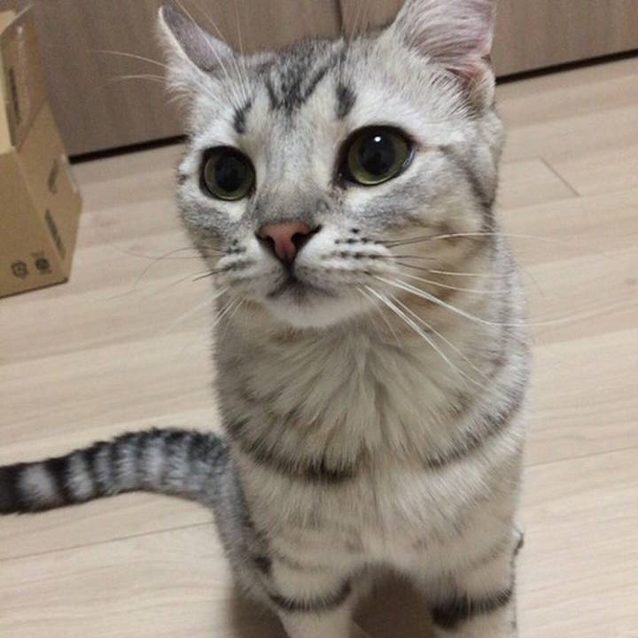 8151a3c2 966f 4dd5 9087 1f5ed118c488