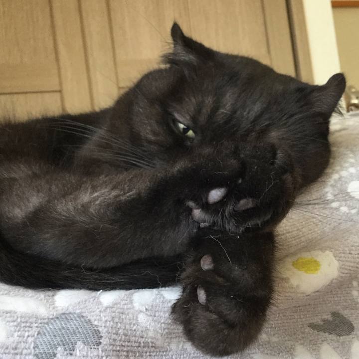 8152cf7d 13db 4a49 88f4 a280b9844fd6