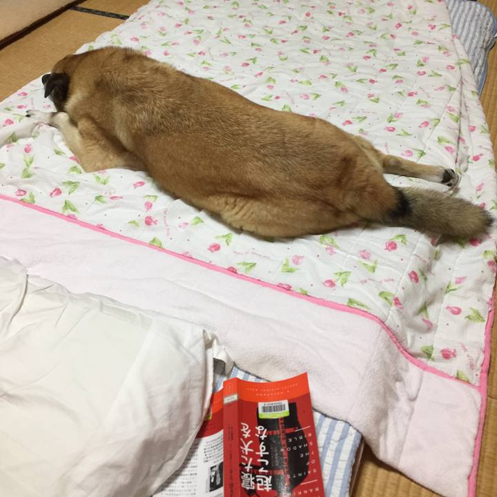 8153c244 6428 45d3 bf5c 22e651cb7dad