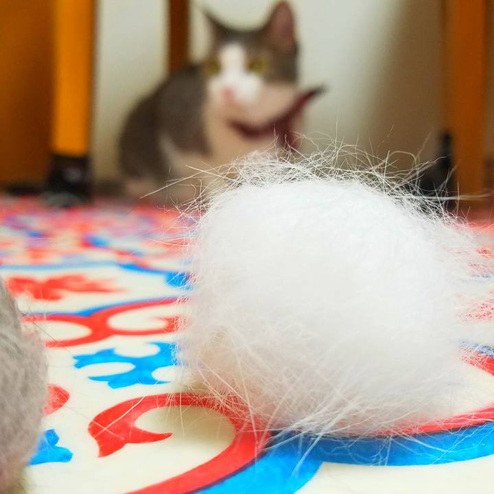 815413e3 c8fa 4a04 8514 7b0eb94221fe