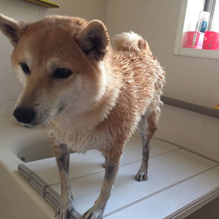 8154230a 1904 4192 9e5d f0b25b207f97