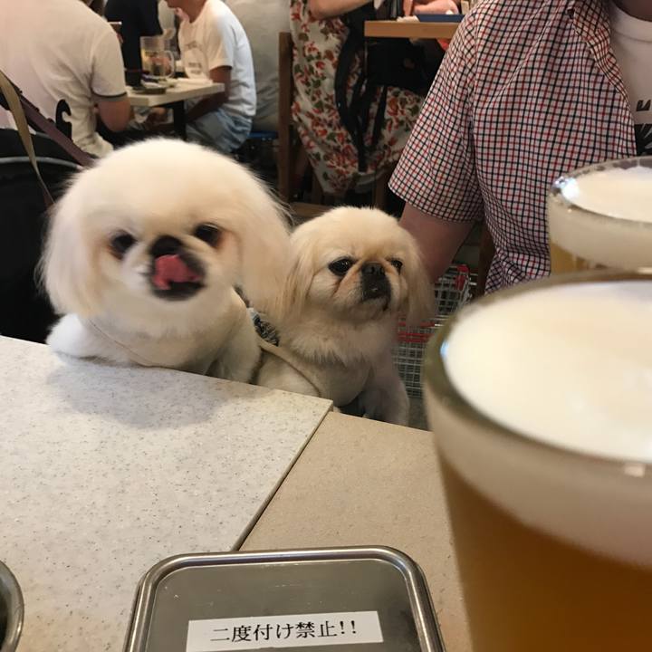 81545a96 dfb4 49cb ad60 e3f00e4cdca3