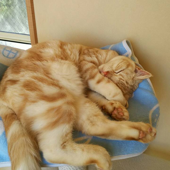 81545b5b e713 43aa a0bc fdd4b0c88103