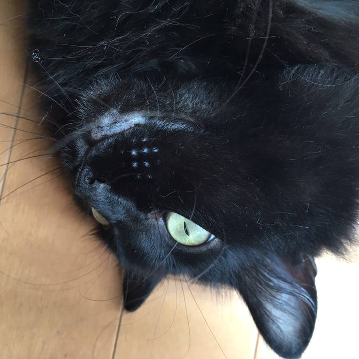 8154ea3c 7f18 4a7e a8f9 04e82139b898