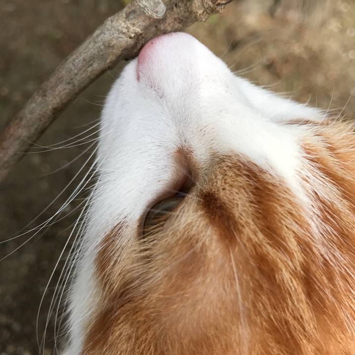 8154fee5 1c89 4436 a74d 6e40f5d5d1ab