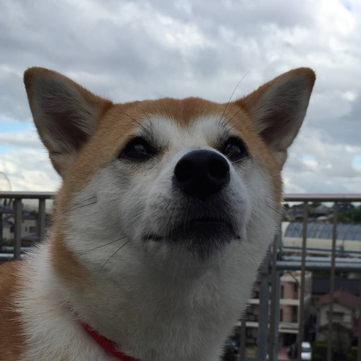 81550e61 32e1 4680 a8bb ac1d6a5ddcbc