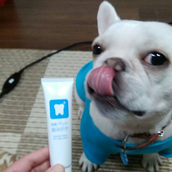 815548c8 4a7a 485a 96ee af24f636f981