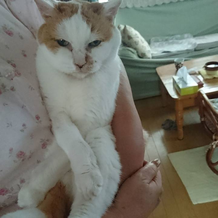 8155d158 9f88 4dc1 a35c 2a1ebcd236b3