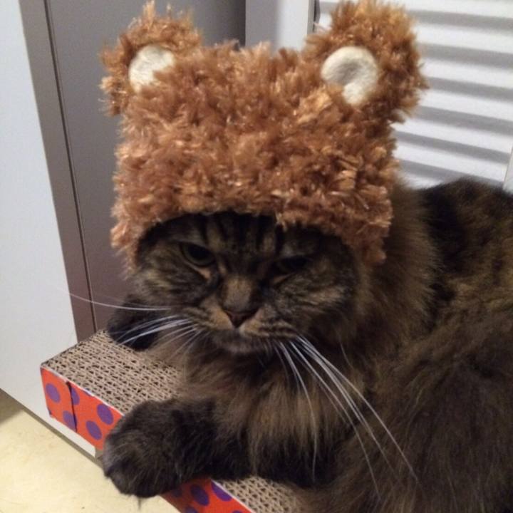 8155eb0b c3fd 444d a39d 9f37da666b4f