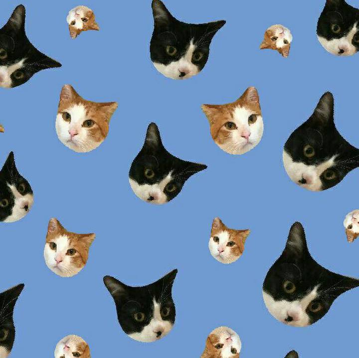 815607d8 27d3 46f3 a707 4c6a152ab9f5