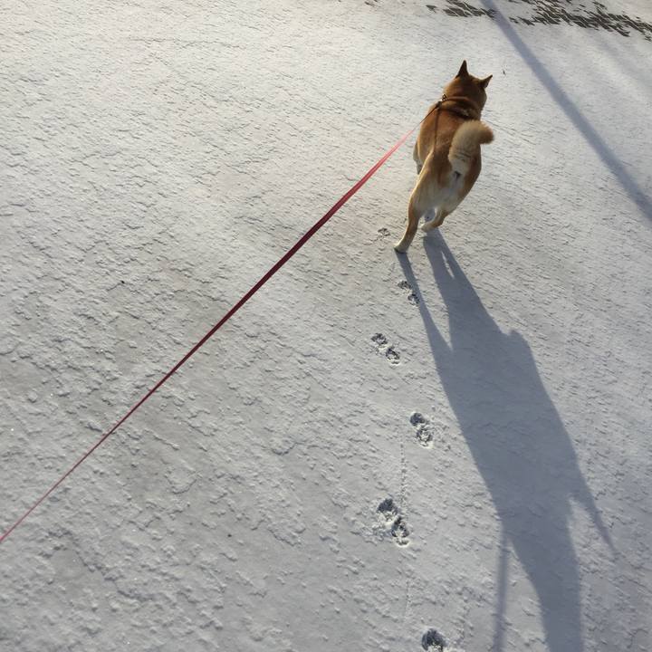 81562ff4 ff02 4722 bce1 460ac56c9592