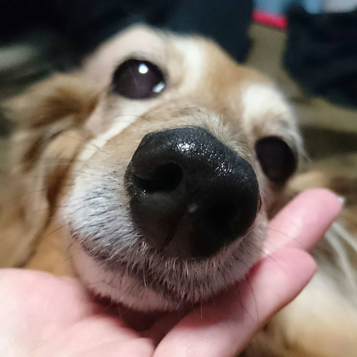 81568162 f324 4d72 bb20 fbb29ecf0e9e