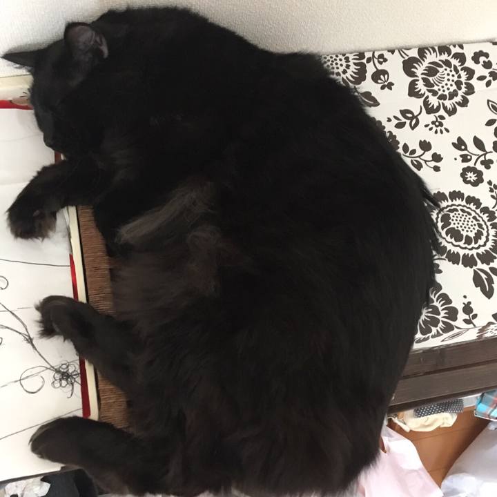 815687b1 7379 4385 9a7b 8ebf485e188c