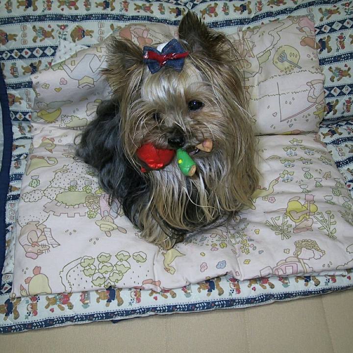 8156ce72 6d64 48ef 9b91 b5b7ef7757aa