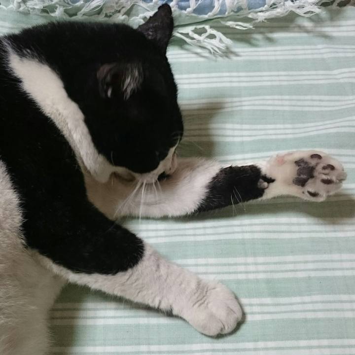 8156e3db 7cbb 4533 83de f789984c1063