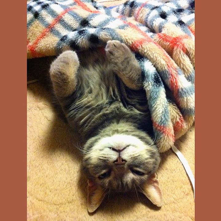 8157f219 1077 4b08 be53 6c668ef10e6e