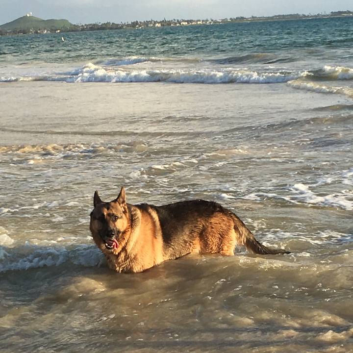 815894a9 151a 47d4 9418 2b0c8a8430bb