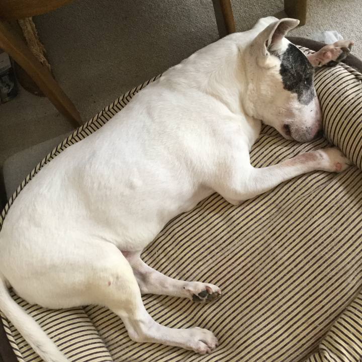 81592f10 0eb3 4a52 b166 5ee61a8a0a0c