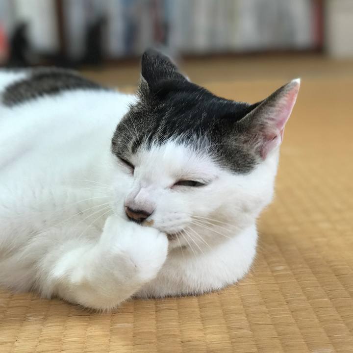 81595913 dcc3 4925 ab8a 9edbfdae7f54