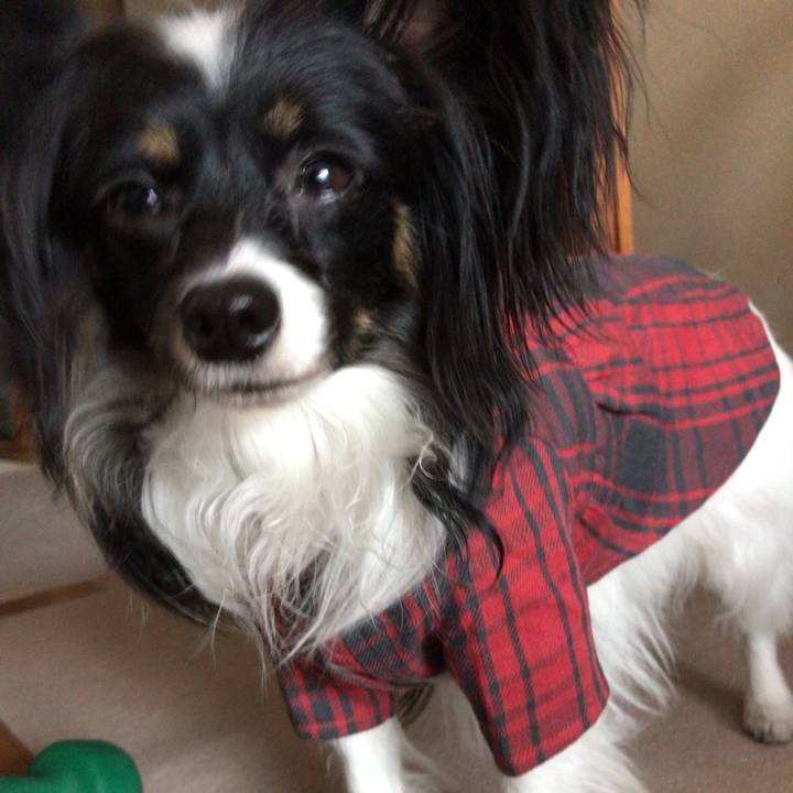 8159a130 6673 41ee 890c 8f558b785003