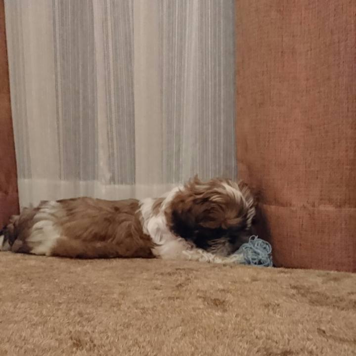 815a2621 4746 44ca 8f67 e4294f50c85f