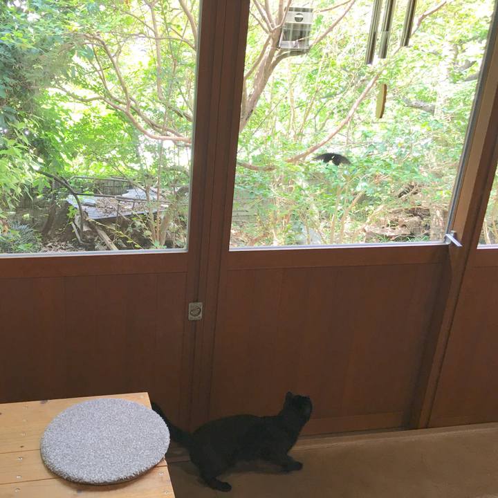 815a4331 7371 4fee 93c3 9a8e271f0bb8