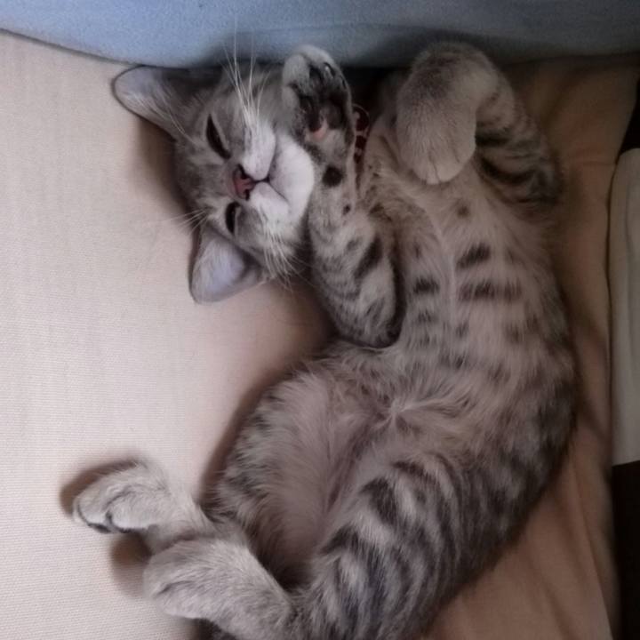 815aa662 5ef5 42fe 8fc6 de126e52993c