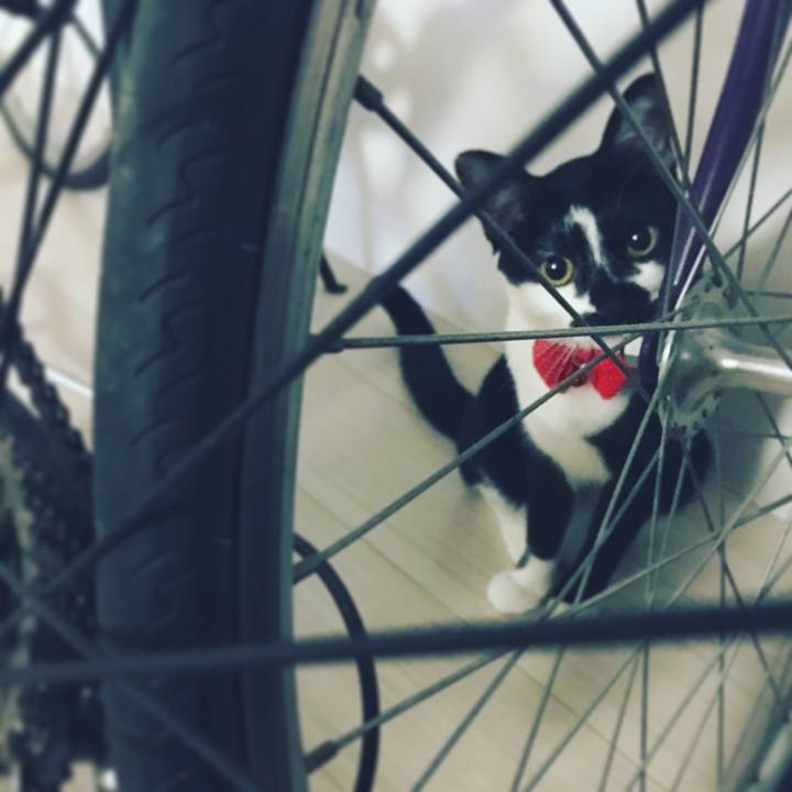 815b4f20 509d 4f25 b334 b1b8609a10ff