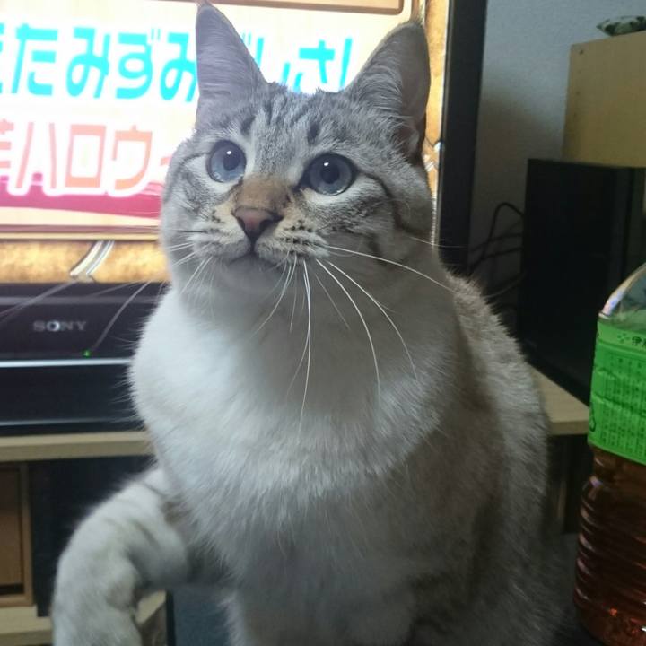 815b7955 c085 4d0f ae5a c12076f734a9